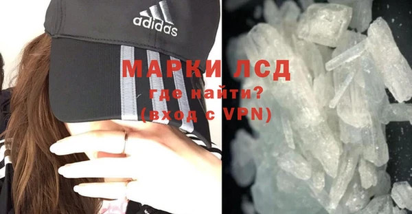 гидра Аркадак