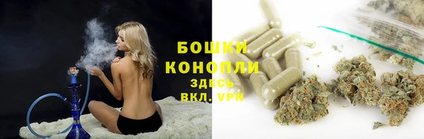меф Арсеньев