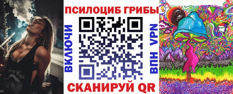 Галлюциногенные грибы прущие грибы нарко площадка формула Минеральные Воды где можно купить наркотик